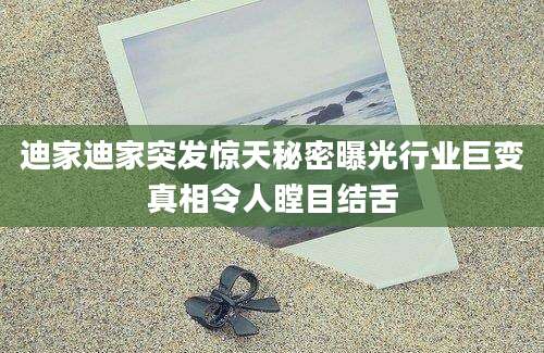 迪家迪家突发惊天秘密曝光行业巨变真相令人瞠目结舌